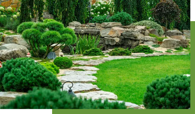 A garden with rocks and plants in the middle of it