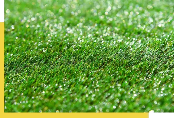 A close up of the grass in the foreground