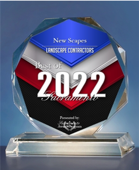 2022 Award