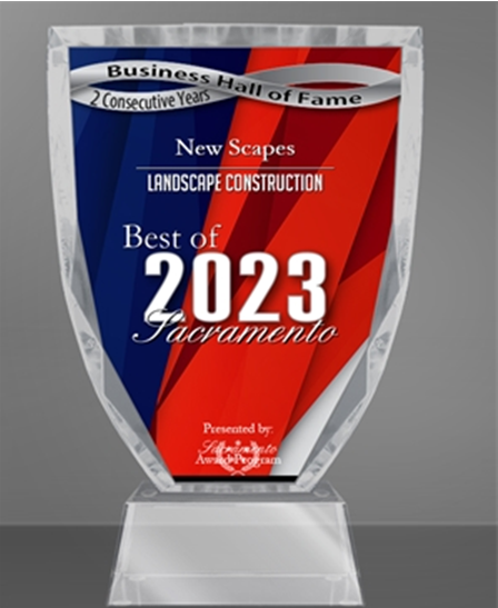 2023 Award