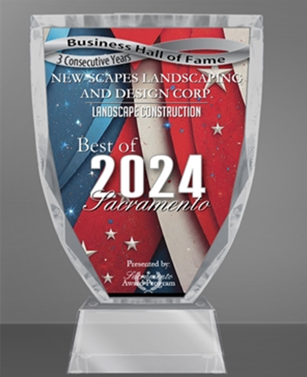 2024 Award